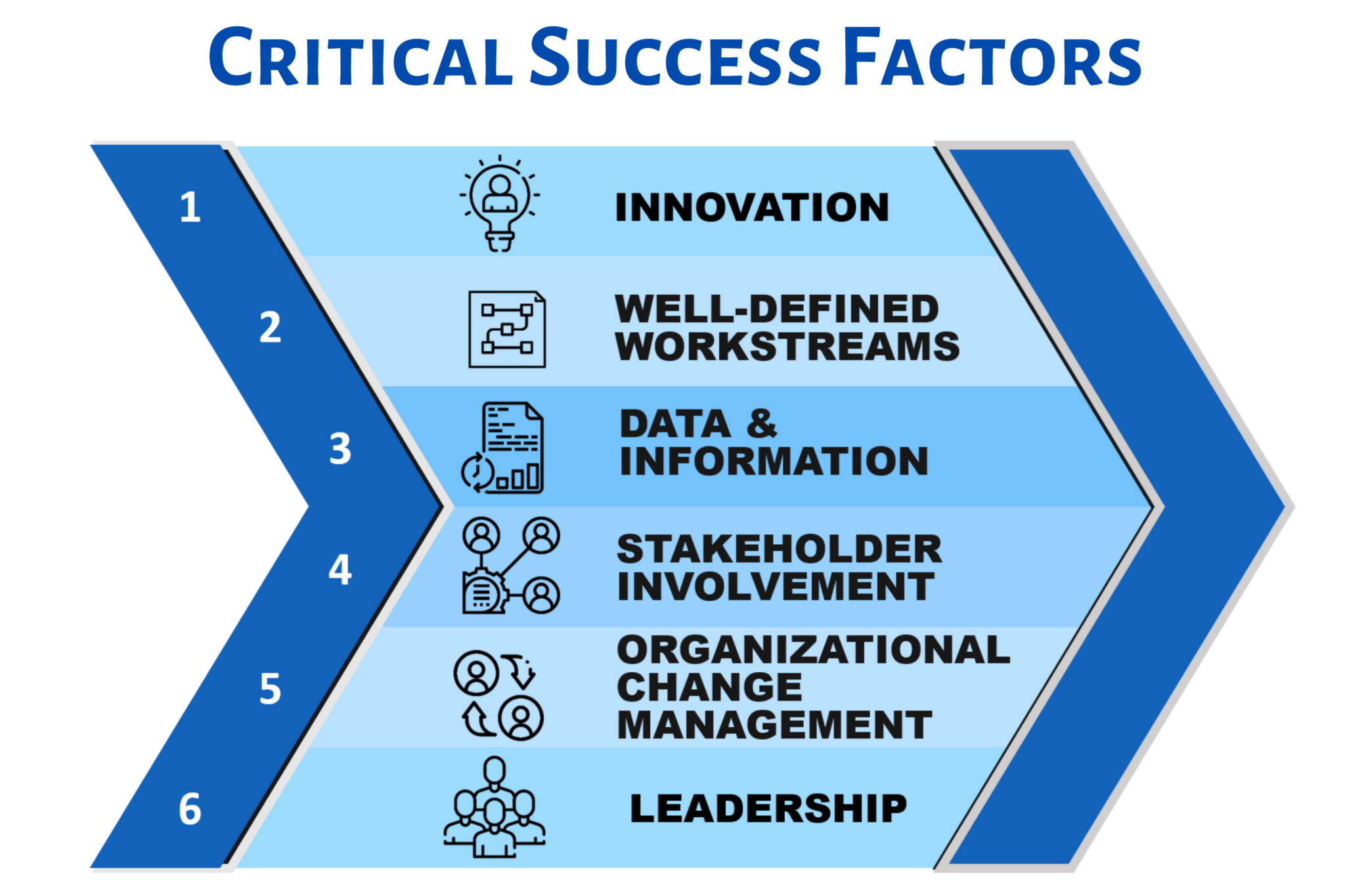 Critical Success Factors HHS Advisory